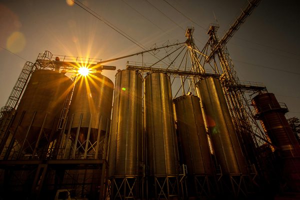 KOSGEB Destekleriyle Sanayi Tesisi Kurmak Mümkün mü?